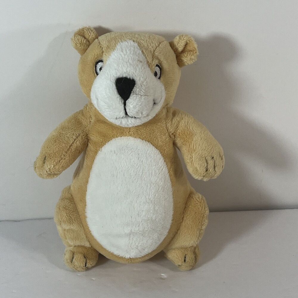 Kohls Cares For Kids All My Favorites Plush Tan Bear 7” Sam McBratney
